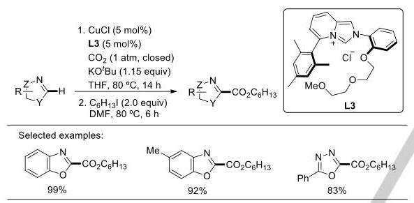12_123_968_593_291_0.jpg